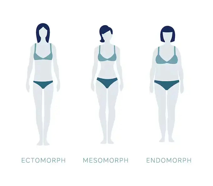 Mesomorph Body Type Explained by Dr. Eric Berg