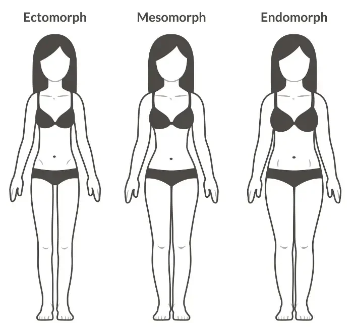 Guide on how to determine your body type showcasing female ectomorph, mesomorph, and endomorph figures.